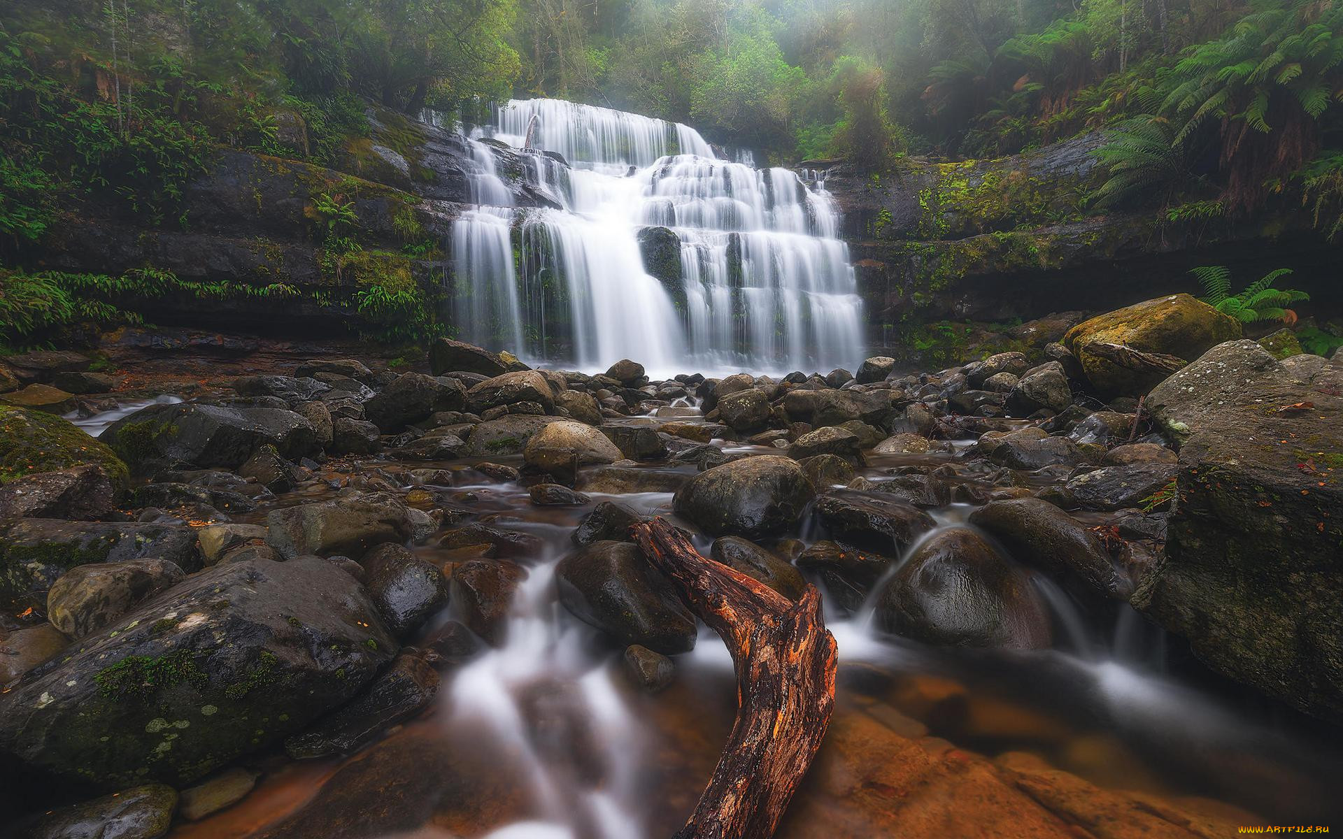 , , liffey, falls, tasmania, , , 
